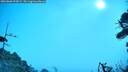 ./images/calvert/fitz-hugh-hecate/20260806/fitz-hugh-hecate20260806_095001M.jpg