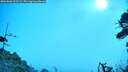 ./images/calvert/fitz-hugh-hecate/20260806/fitz-hugh-hecate20260806_095501M.jpg