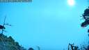 ./images/calvert/fitz-hugh-hecate/20260806/fitz-hugh-hecate20260806_100002M.jpg
