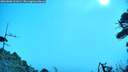 ./images/calvert/fitz-hugh-hecate/20260806/fitz-hugh-hecate20260806_101001M.jpg