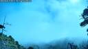./images/calvert/fitz-hugh-hecate/20260806/fitz-hugh-hecate20260806_104001M.jpg