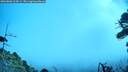 ./images/calvert/fitz-hugh-hecate/20260806/fitz-hugh-hecate20260806_104501M.jpg