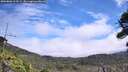 ./images/calvert/fitz-hugh-hecate/20260806/fitz-hugh-hecate20260806_123501M.jpg