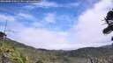 ./images/calvert/fitz-hugh-hecate/20260806/fitz-hugh-hecate20260806_125001M.jpg