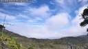 ./images/calvert/fitz-hugh-hecate/20260806/fitz-hugh-hecate20260806_125501M.jpg