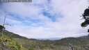 ./images/calvert/fitz-hugh-hecate/20260806/fitz-hugh-hecate20260806_130502M.jpg