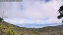 ./images/calvert/fitz-hugh-hecate/20260806/fitz-hugh-hecate20260806_134001M.jpg