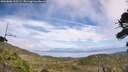 ./images/calvert/fitz-hugh-hecate/20260806/fitz-hugh-hecate20260806_135501M.jpg
