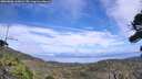 ./images/calvert/fitz-hugh-hecate/20260806/fitz-hugh-hecate20260806_140001M.jpg