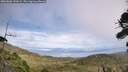 ./images/calvert/fitz-hugh-hecate/20260806/fitz-hugh-hecate20260806_141001M.jpg