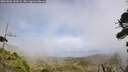 ./images/calvert/fitz-hugh-hecate/20260806/fitz-hugh-hecate20260806_143001M.jpg