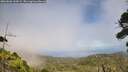 ./images/calvert/fitz-hugh-hecate/20260806/fitz-hugh-hecate20260806_145002M.jpg