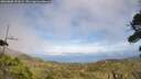 ./images/calvert/fitz-hugh-hecate/20260806/fitz-hugh-hecate20260806_151001M.jpg