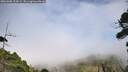 ./images/calvert/fitz-hugh-hecate/20260806/fitz-hugh-hecate20260806_154502M.jpg