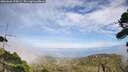 ./images/calvert/fitz-hugh-hecate/20260806/fitz-hugh-hecate20260806_155001M.jpg