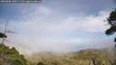 ./images/calvert/fitz-hugh-hecate/20260806/fitz-hugh-hecate20260806_160501M.jpg