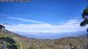 ./images/calvert/fitz-hugh-hecate/20260806/fitz-hugh-hecate20260806_164002M.jpg