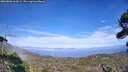 ./images/calvert/fitz-hugh-hecate/20260806/fitz-hugh-hecate20260806_164501M.jpg