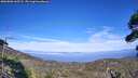 ./images/calvert/fitz-hugh-hecate/20260806/fitz-hugh-hecate20260806_165501M.jpg