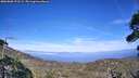 ./images/calvert/fitz-hugh-hecate/20260806/fitz-hugh-hecate20260806_171502M.jpg