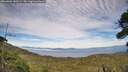 ./images/calvert/fitz-hugh-hecate/20260806/fitz-hugh-hecate20260806_180501M.jpg