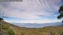 ./images/calvert/fitz-hugh-hecate/20260806/fitz-hugh-hecate20260806_181001M.jpg