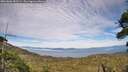 ./images/calvert/fitz-hugh-hecate/20260806/fitz-hugh-hecate20260806_181501M.jpg