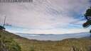 ./images/calvert/fitz-hugh-hecate/20260806/fitz-hugh-hecate20260806_182001M.jpg