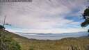 ./images/calvert/fitz-hugh-hecate/20260806/fitz-hugh-hecate20260806_182501M.jpg