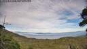 ./images/calvert/fitz-hugh-hecate/20260806/fitz-hugh-hecate20260806_183001M.jpg