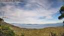 ./images/calvert/fitz-hugh-hecate/20260806/fitz-hugh-hecate20260806_184501M.jpg