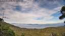 ./images/calvert/fitz-hugh-hecate/20260806/fitz-hugh-hecate20260806_185002M.jpg