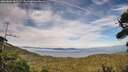 ./images/calvert/fitz-hugh-hecate/20260806/fitz-hugh-hecate20260806_185502M.jpg