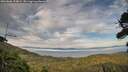 ./images/calvert/fitz-hugh-hecate/20260806/fitz-hugh-hecate20260806_194001M.jpg