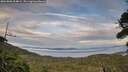 ./images/calvert/fitz-hugh-hecate/20260806/fitz-hugh-hecate20260806_204001M.jpg