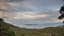 ./images/calvert/fitz-hugh-hecate/20260806/fitz-hugh-hecate20260806_205002M.jpg