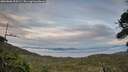 ./images/calvert/fitz-hugh-hecate/20260806/fitz-hugh-hecate20260806_205501M.jpg