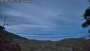 ./images/calvert/fitz-hugh-hecate/20260806/fitz-hugh-hecate20260806_213501M.jpg