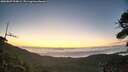 ./images/calvert/fitz-hugh-hecate/20260807/fitz-hugh-hecate20260807_054002M.jpg