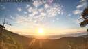 ./images/calvert/fitz-hugh-hecate/20260807/fitz-hugh-hecate20260807_063001M.jpg