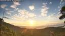 ./images/calvert/fitz-hugh-hecate/20260807/fitz-hugh-hecate20260807_064002M.jpg