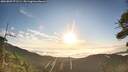./images/calvert/fitz-hugh-hecate/20260807/fitz-hugh-hecate20260807_071501M.jpg