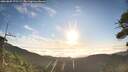 ./images/calvert/fitz-hugh-hecate/20260807/fitz-hugh-hecate20260807_072501M.jpg