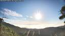 ./images/calvert/fitz-hugh-hecate/20260807/fitz-hugh-hecate20260807_074001M.jpg
