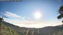 ./images/calvert/fitz-hugh-hecate/20260807/fitz-hugh-hecate20260807_074501M.jpg
