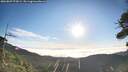 ./images/calvert/fitz-hugh-hecate/20260807/fitz-hugh-hecate20260807_075001M.jpg