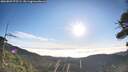./images/calvert/fitz-hugh-hecate/20260807/fitz-hugh-hecate20260807_075501M.jpg