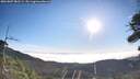 ./images/calvert/fitz-hugh-hecate/20260807/fitz-hugh-hecate20260807_082501M.jpg