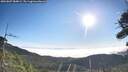 ./images/calvert/fitz-hugh-hecate/20260807/fitz-hugh-hecate20260807_084001M.jpg