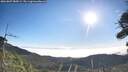 ./images/calvert/fitz-hugh-hecate/20260807/fitz-hugh-hecate20260807_085001M.jpg